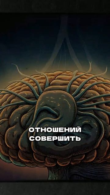 Мозг принимает решения, пока вы спите