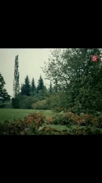 Шерлок и Ватсон