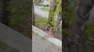 1000017257.mp4