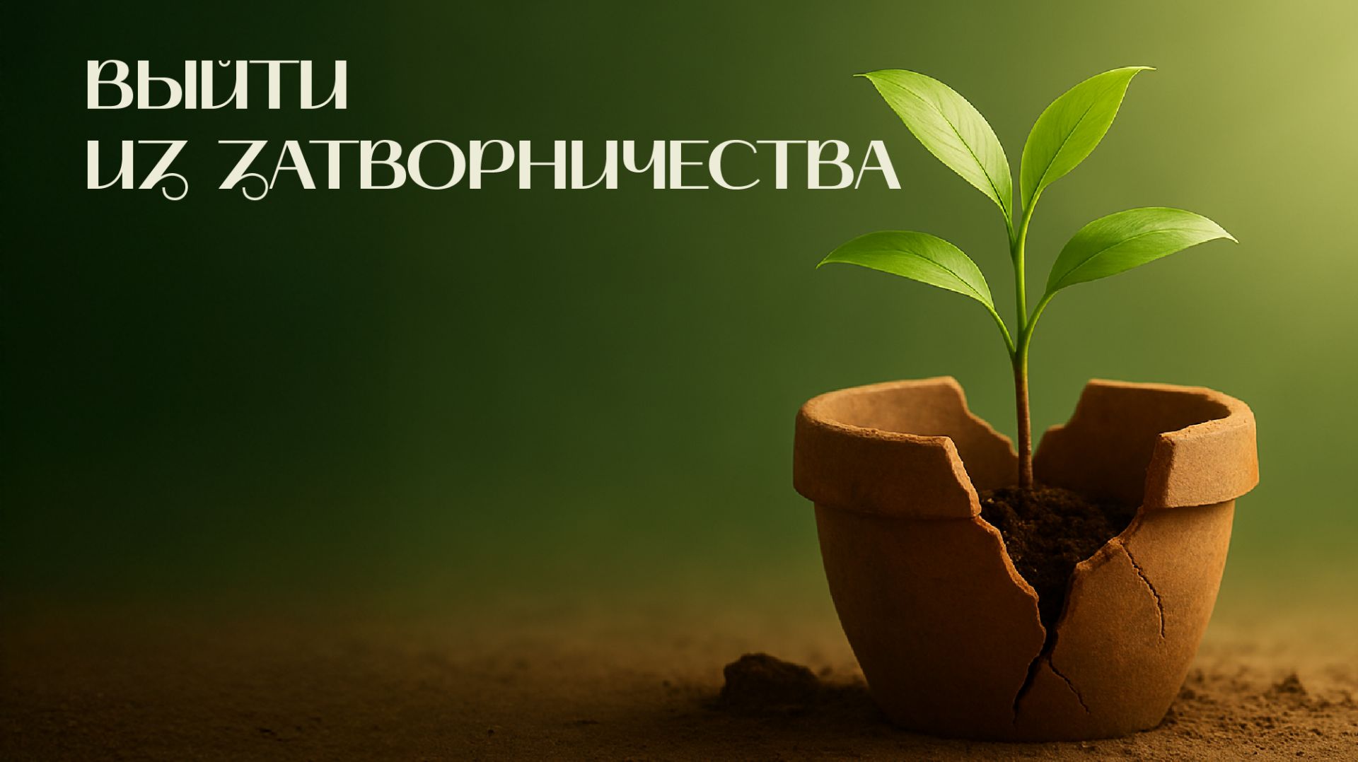 Выйти из затворничества | Древо жизни