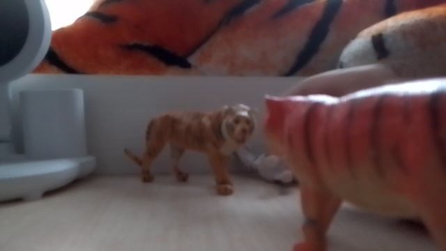 семья тигров 1договор