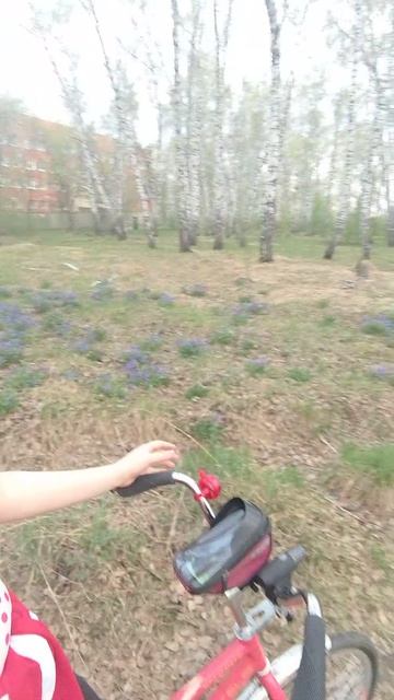 Наша веложизнь