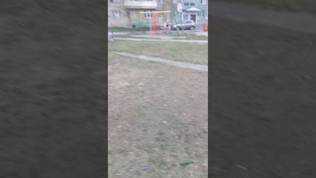 мой день... #мойдень