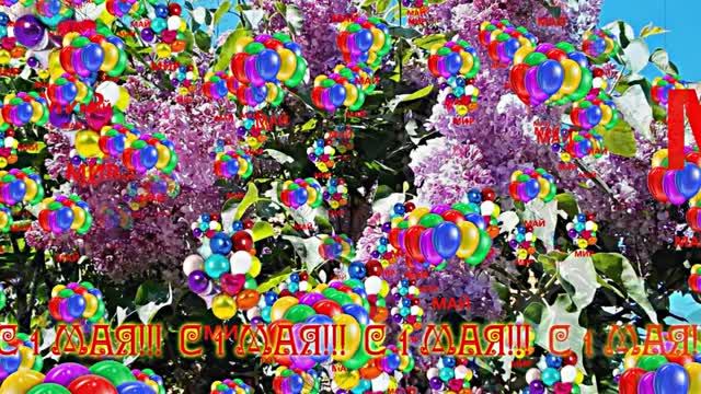 С 1 МАЯ!!! Праздничная музыкальная открытка 1 от Киностудии Мудрого Кота Тимофея!