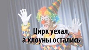 События в цирке - Цветочная, осел и жаба