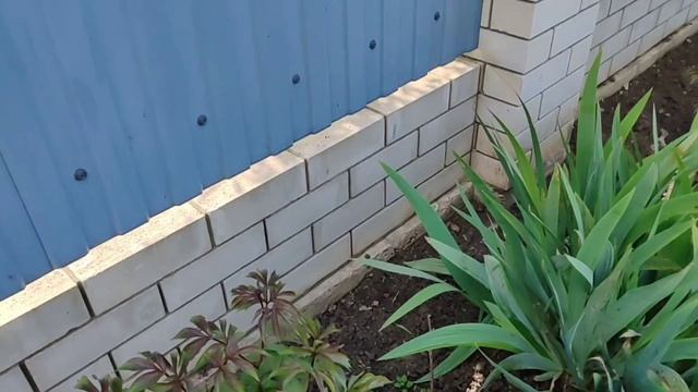 25-28.04.26. Второй покос. Цены на рынке. Зима ночью, лето днем.