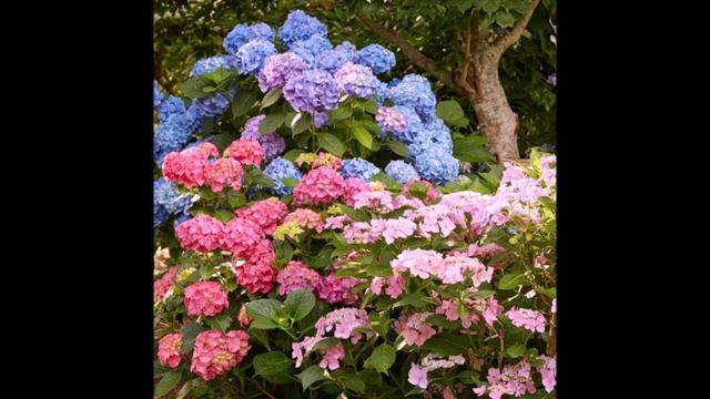 Библия и жизнь. Моя аудиокнига. Часть № 139