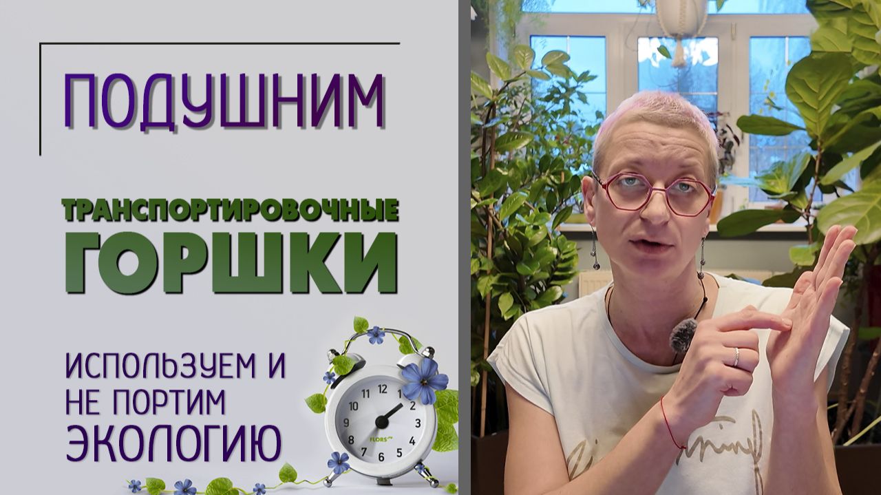 Транспортировочные горшки для растений - как их использовать, чтобы не портить экологию. Подушним.