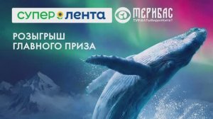 Главный розыгрыш «Супер Ленты». Рыбный фестиваль