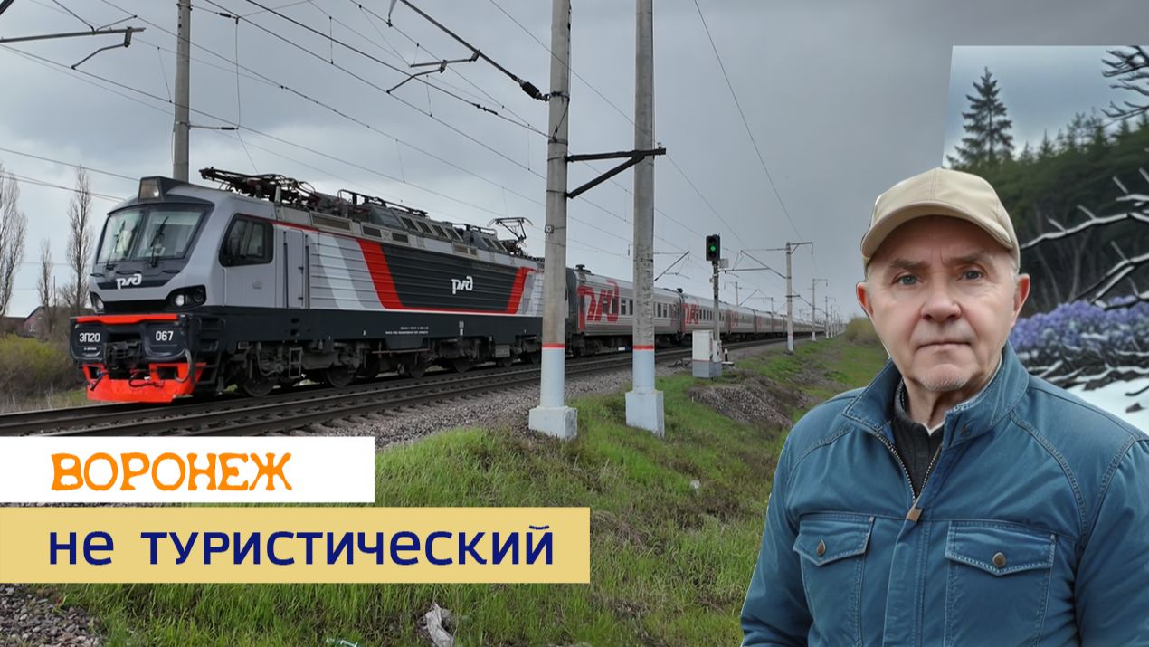 Воронеж не туристический ул. Менделеева Просторная парк Южный