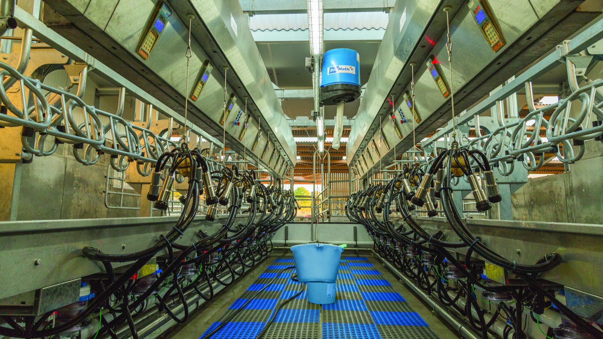 Доильный зал  Параллель с  функцией кормления BouMatic SmartWay90