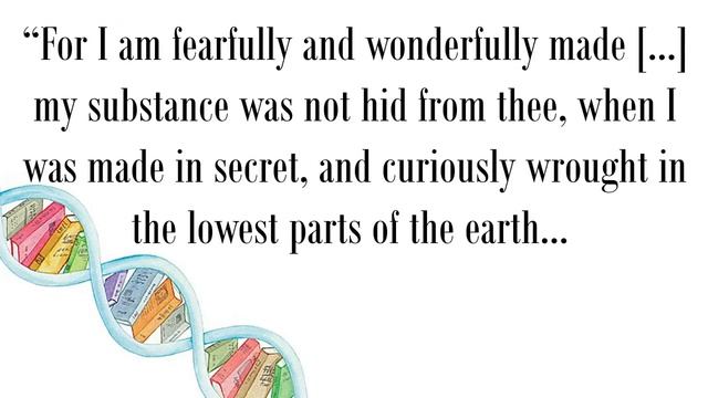 Потерянная_История_Плоской_Земли_Том_2_часть_1