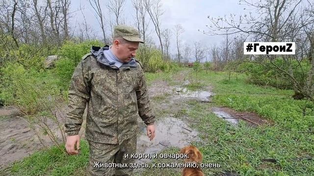 Герои Z Бронза-2-собаки