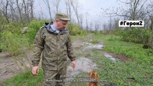 Герои Z Бронза-2-собаки
