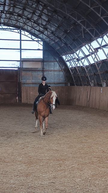 Вика и Каспер, принимание на рыси в манеже.