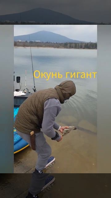 Рыбалка 25.03.2026г хищник Окунь гигант #рыбалка #кмв #сапборд #сплав #fishing