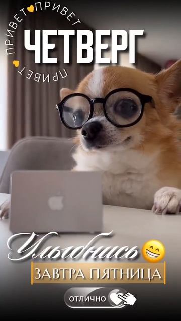 Video_2026-03-19_10-04-39