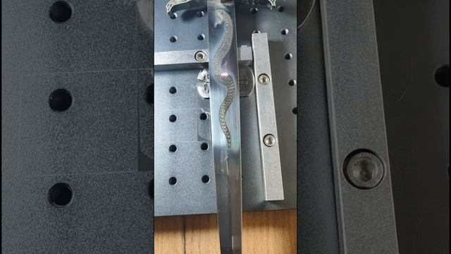 ЗМЕЯ НА КИНЖАЛЕ