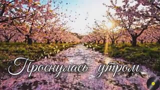 КУДА ЛЕТЯТ БЕГУТ МОИ ГОДА Самая пронзительная песня