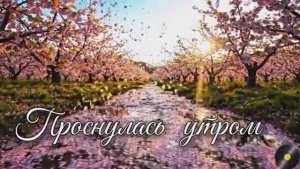 КУДА ЛЕТЯТ БЕГУТ МОИ ГОДА Самая пронзительная песня