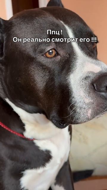 Video_2026-03-22_11-55-56