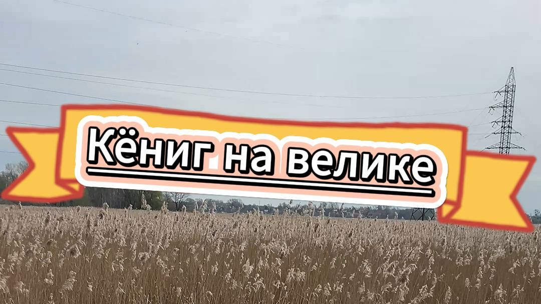 Велозабег 39