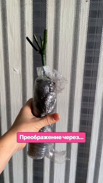 Подарок от мужа🤣