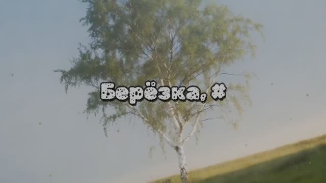 Берёзка. 