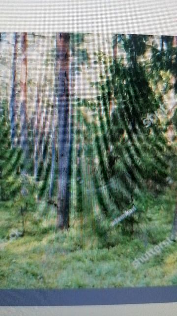 VID_20260326_100637.mp4
