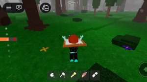 Играю в роблокс с подругой 1 часть