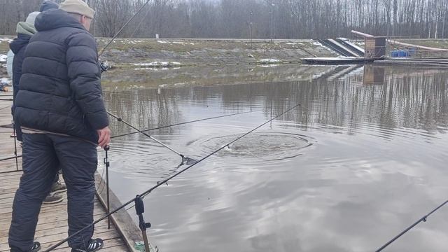 поимка форели