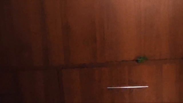 Poppy Playtime (моя версия)