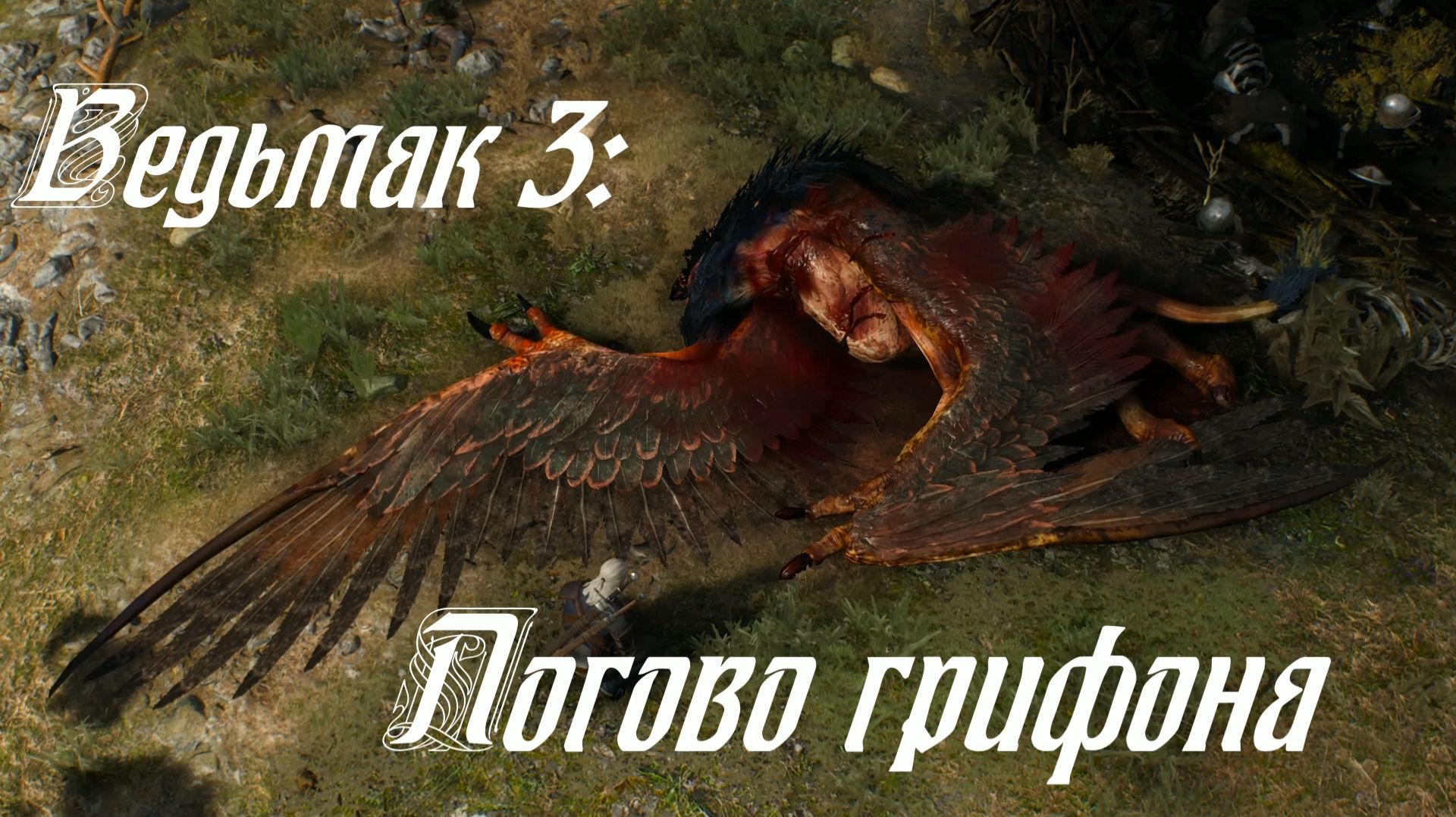 Ведьмак 3: Дикая Охота - 5 Травница Томира Логово грифона