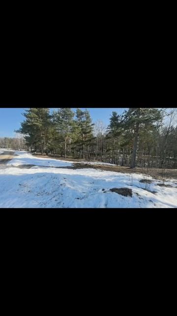 petal_20260417_103154.mp4