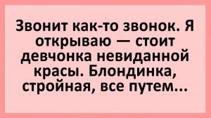 Звонит как-то звонок. Я открываю — стоит девчонка невиданной красы... | Анекдоты смешные | Юмор