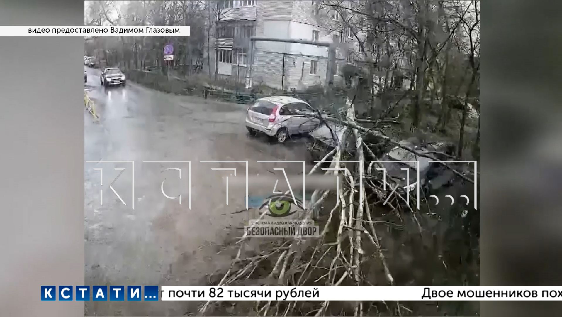 Дерево рухнуло в Арзамасе прямо на припаркованные автомобили