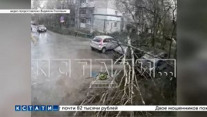 Дерево рухнуло в Арзамасе прямо на припаркованные автомобили