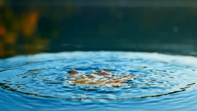 🅴🅳🆄🅰🆁🅳 🅰🆂🅰🅳🅾🆅  😇  Δоδρоτα