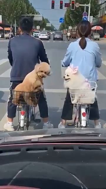 С  ПЕРВОГО ВЗГЛЯДА