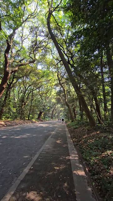 Прогулки в парке Токио, Япония