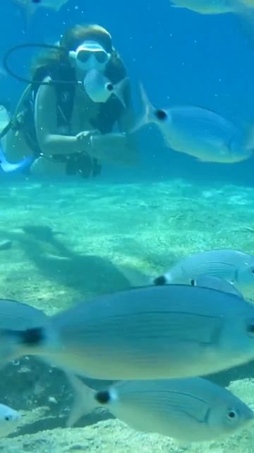 Фетхие это популярный туристический город на юго-западе Турции в провинции Мугла