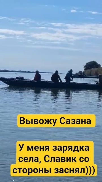 Рыбалка в Волга-каспийском канале, вывожу Сазана #fishing #сазан #рыбалка