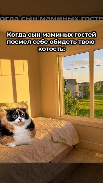 сериал котость 4часть