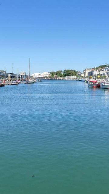 Наш бакланчик 🤗🐠🌊