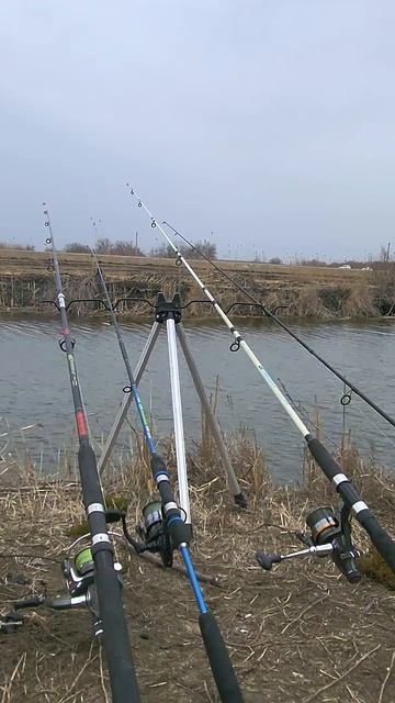 ветер очень сильный рыба не клюет #астраханьрыбалка #рыбалка #астраханскаяобласть 2026 рыбалка