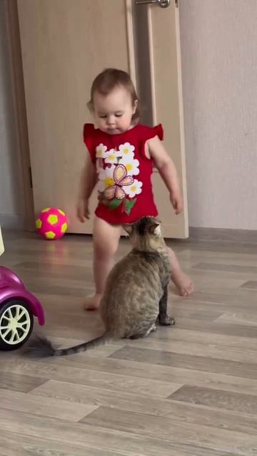 Видео: Bebekviideolari