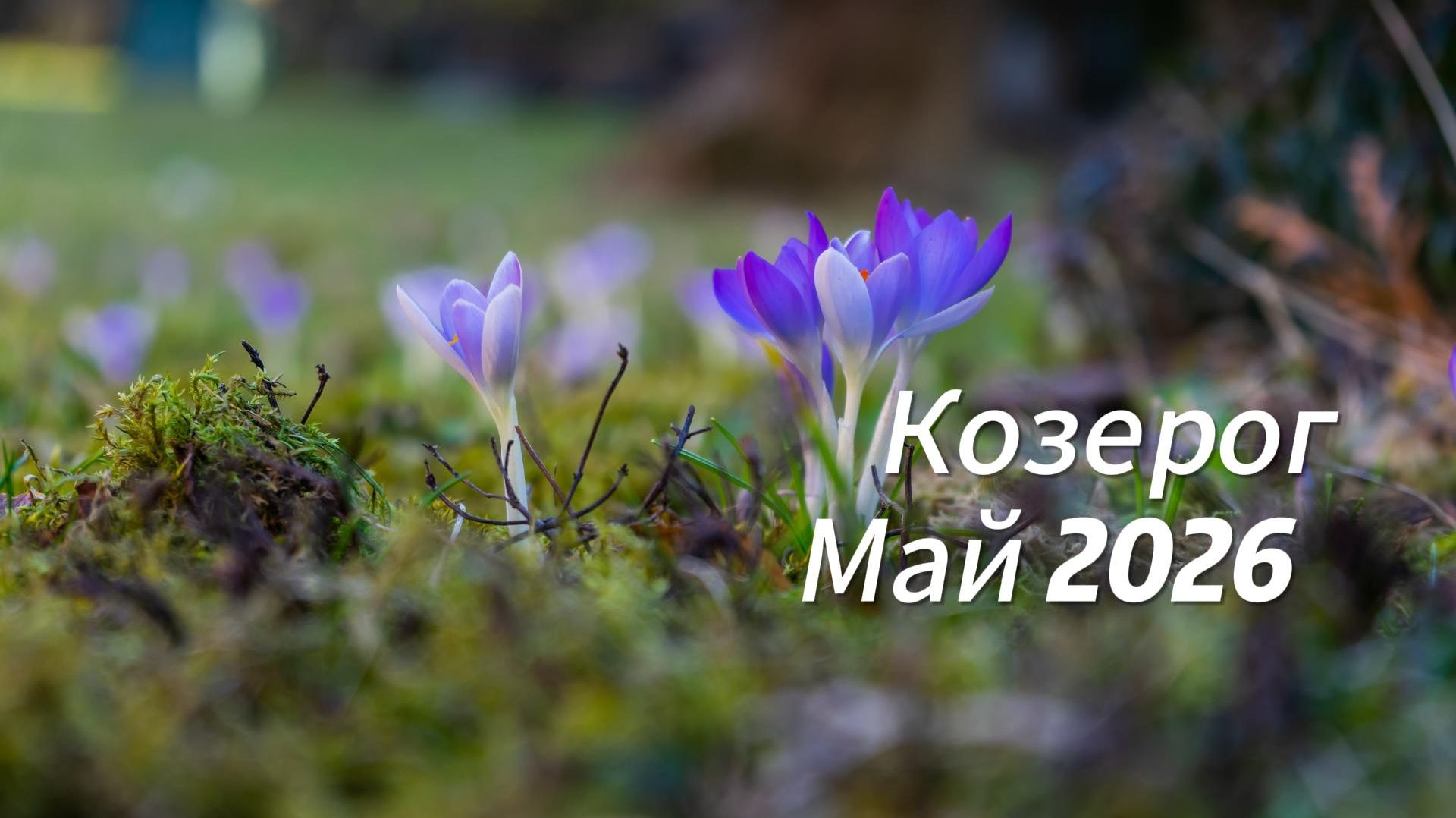 Прогноз для Козерогов на Май 2026