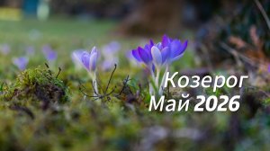 Прогноз для Козерогов на Май 2026