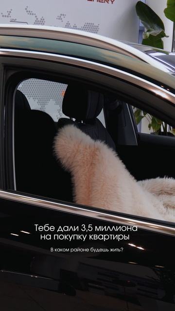 Верные приоритеты ✨😄