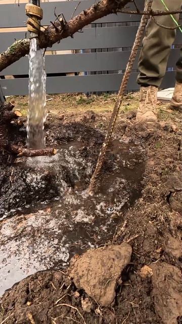 Работа садовника · апрель 2026 · №2 · полив и скарификация